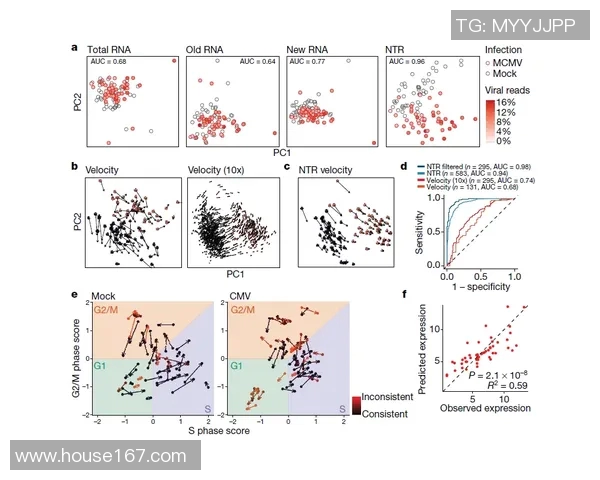 图尔与沙托鲁的较量揭示法乙联赛新动态与球队未来发展方向 图尔与沙托鲁的较量揭示法乙联赛新动态与球队未来发展方向
