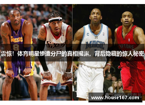 震惊！体育明星惨遭分尸的真相揭露，背后隐藏的惊人秘密