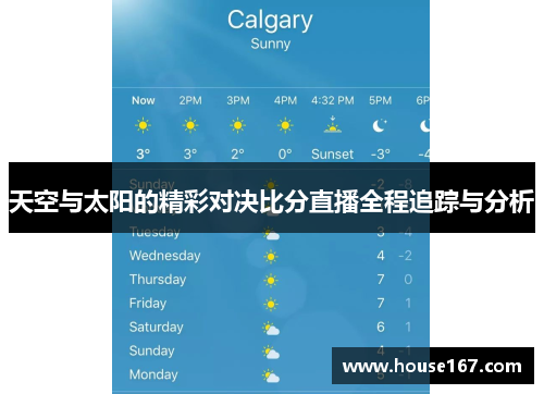 天空与太阳的精彩对决比分直播全程追踪与分析