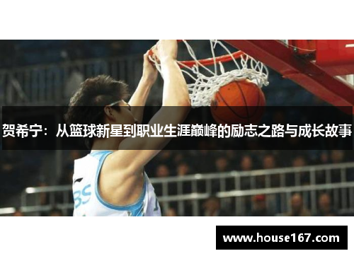 贺希宁：从篮球新星到职业生涯巅峰的励志之路与成长故事